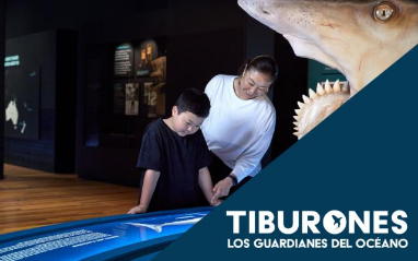VISITA EN FAMILIA “TIBURONES” +8