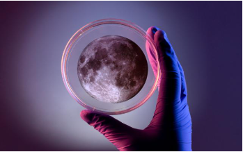 LA NOCHE DE LA INVESTIGACIÓN